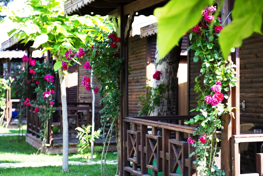 Flora Garden Beach (Adults Only 16+) 5*-83