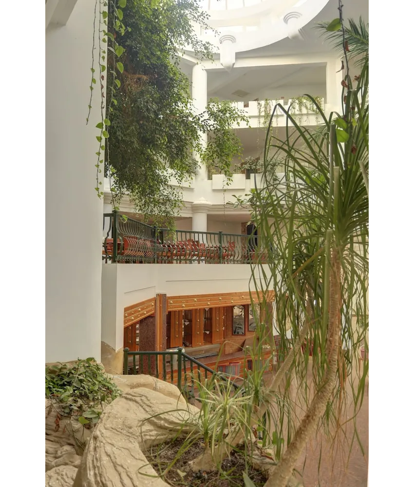 Hammamet Garden 4*-41