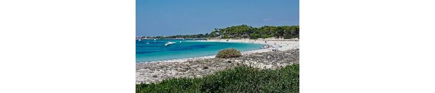Isla de Cabrera Aparthotel 4*-64