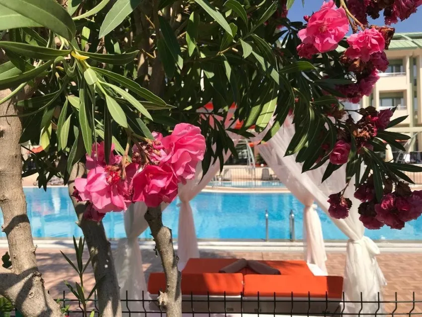 Vonresort Elite 5*-4