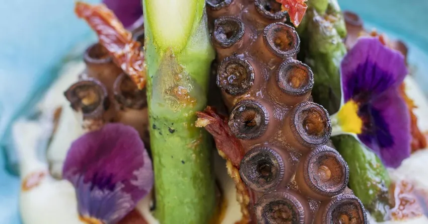 Hotel de Mar Gran Melia 5*-515