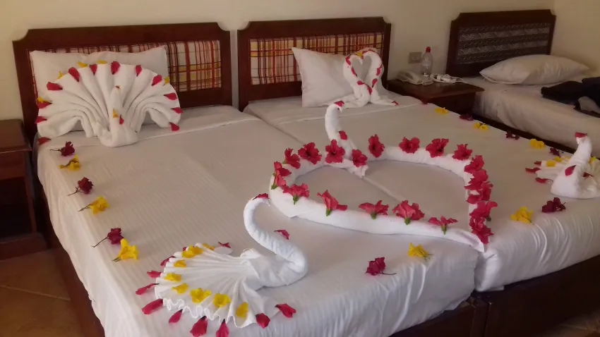 Pharaoh Azur Resort 4*-15