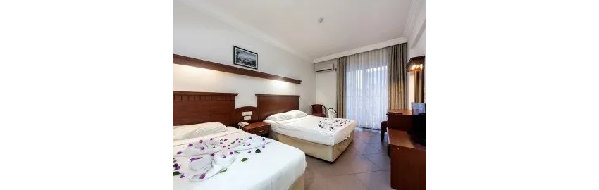 Wasa Hotel 3*-10