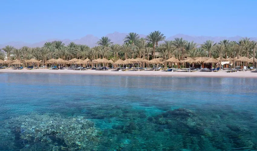 Jaz Sharm Dreams 4*-11