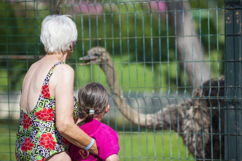 Club Hotel Turan Prince World 5*-101