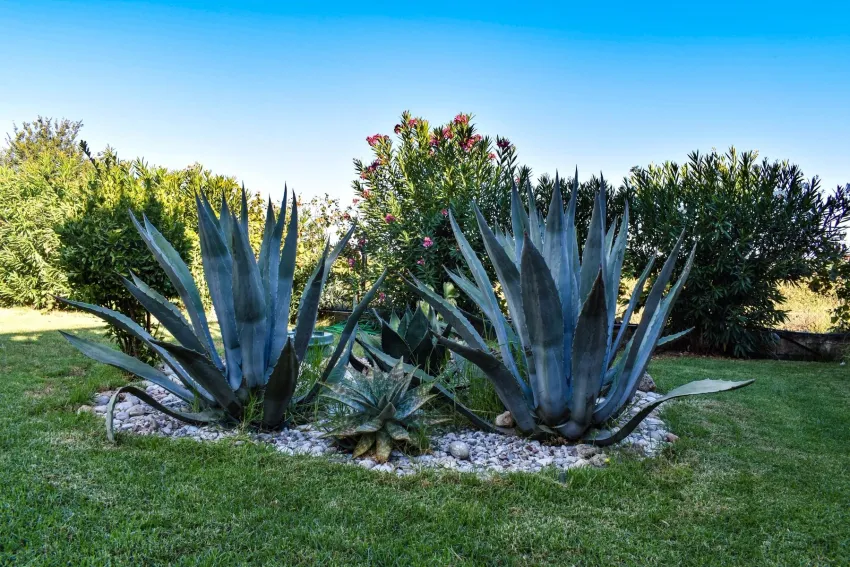 Eco Resort Zefyros 3*-13