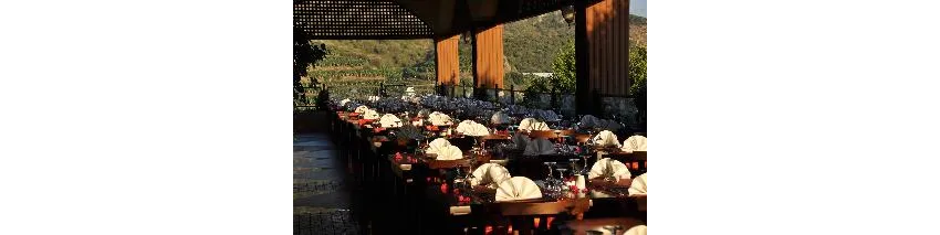 Utopia World Hotel 5*-58