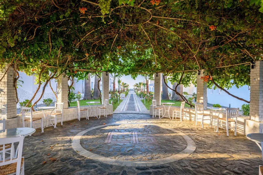 Solimar White Pearl (Adults Only 17+) 4*-11