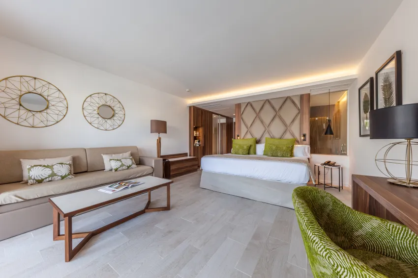 Zafiro Palace Palmanova 5*-124