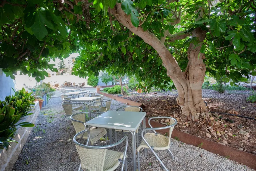 Petit Garden Hotel by Flacalco 3*-13