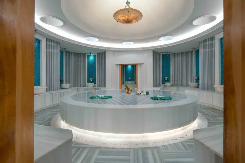 Delphin Palace 5*-20