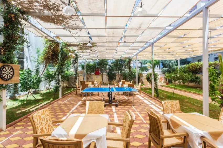 Lonicera City Kleopatra 3*-26