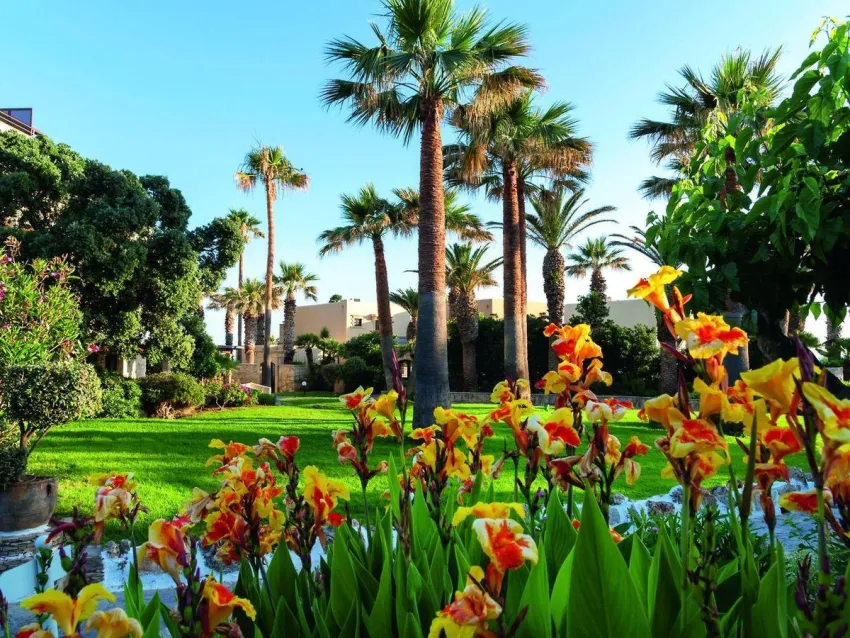 Aquila Rithymna Beach 5*-41