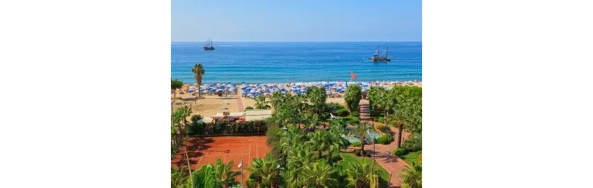 Gardenia Hotel 4*-12