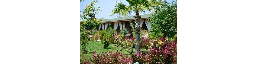 Flora Garden Beach (Adults Only 16+) 5*-223