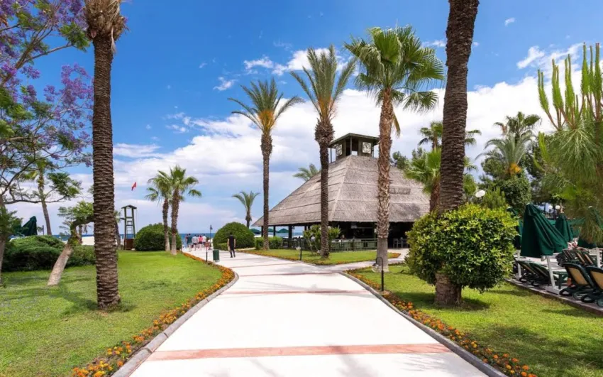 Gypsophila Club Marine 5*-1