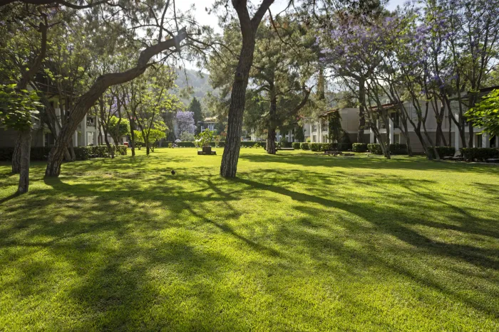 Sherwood Exclusive Kemer 5* - Kemer - Turcia