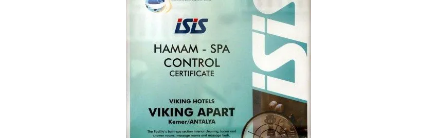 Viking Express Hotel 3*-18