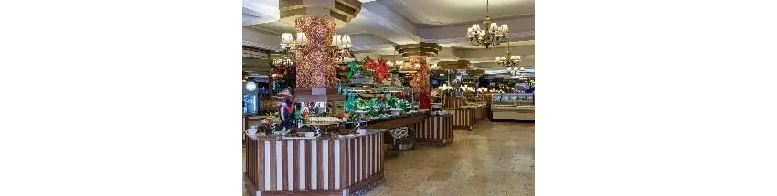 Delphin Botanik Hotel 5*-21
