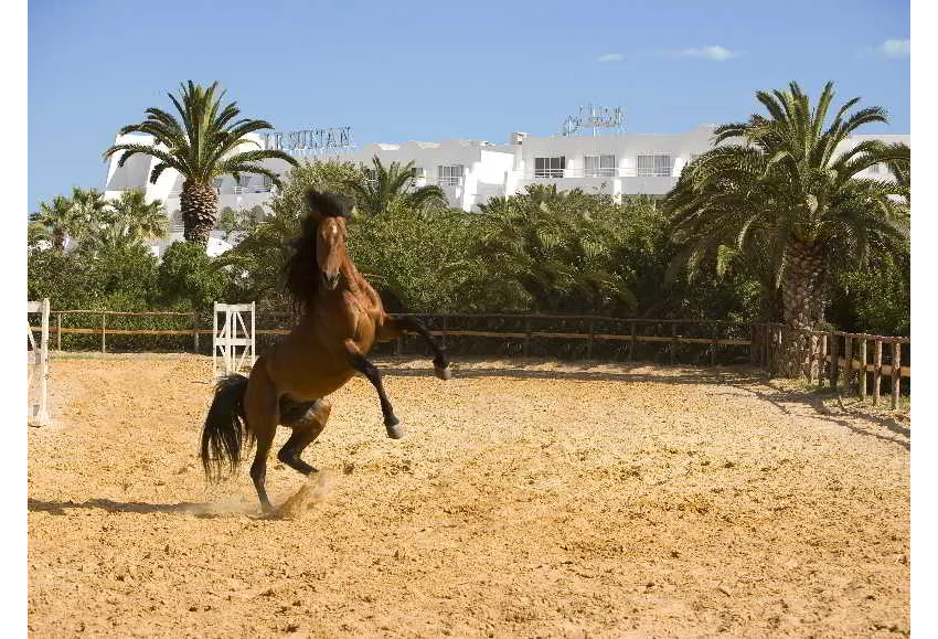 Hotel Sentido Le Sultan 4*-40