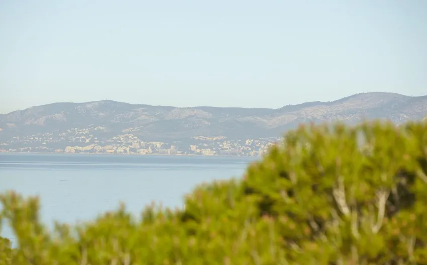 MLL Palma Bay Club Resort 3*-85