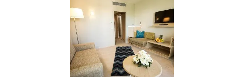 Tui Blue Palm Garden 4*-28