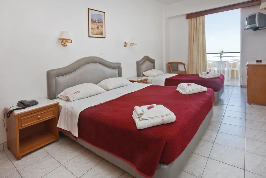 Dedalos Beach Hotel 3*-11