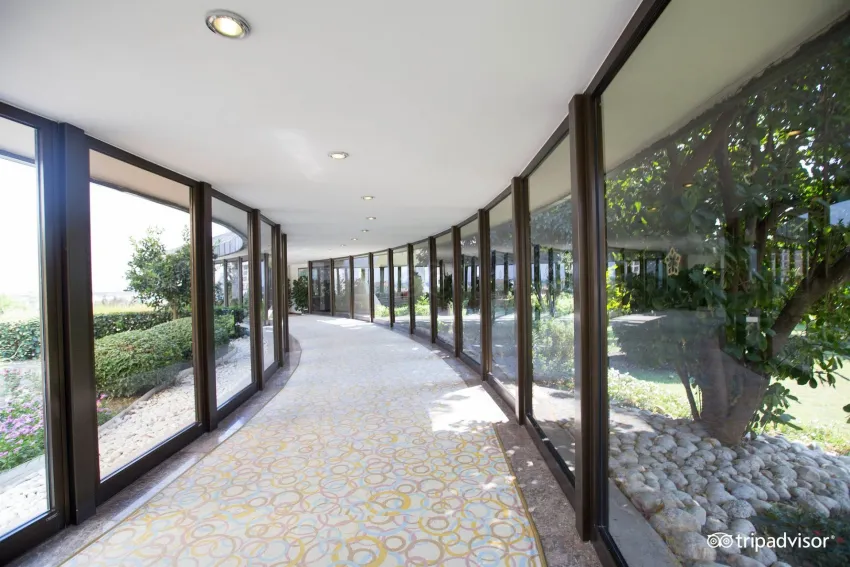 Side Star Elegance 5*-6