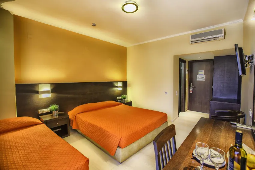 Sofia Hotel 3*-15