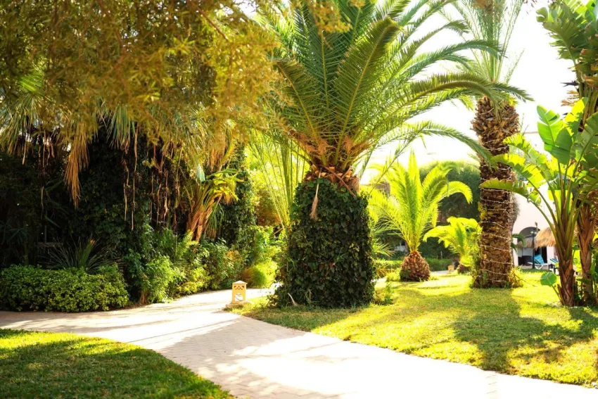 Eden Yasmine Resort  and Spa 4*-31