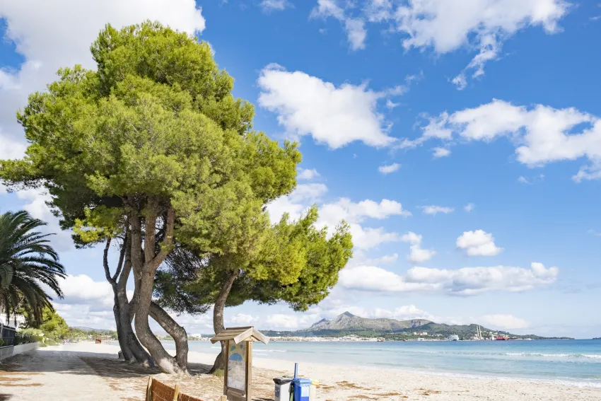 Zafiro Alzinar Mar 4*-48