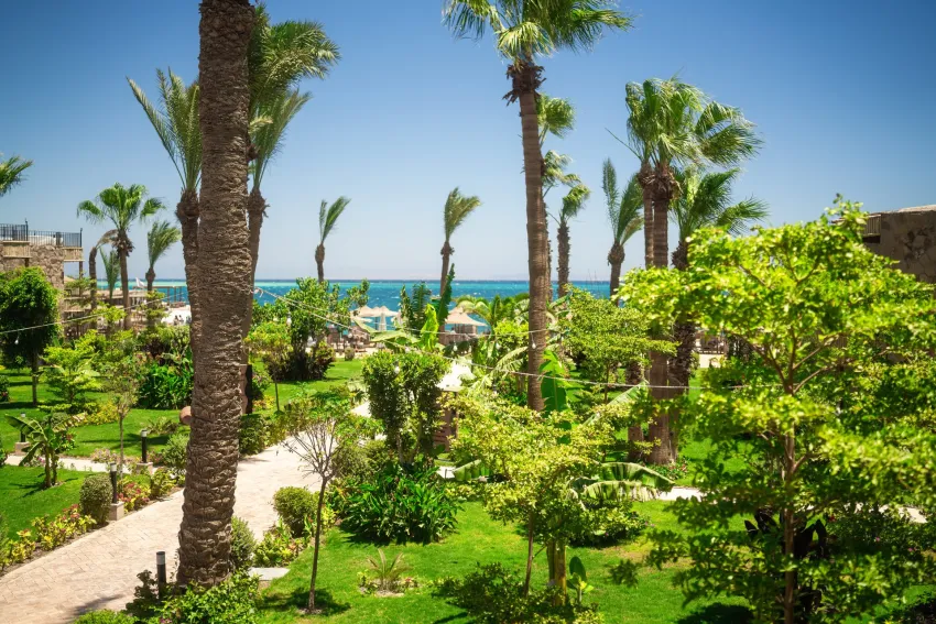 ananea Hurghada 5*-3