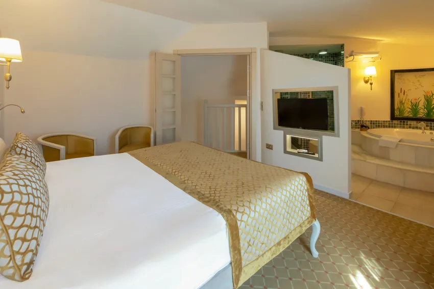 Starlight Resort Hotel 5*-95