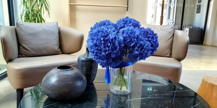 Hotel Indigo Larnaca (Adults Only) 4*-7