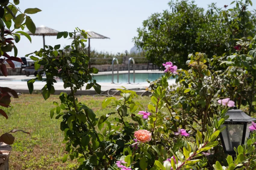 Gardenia Hotel 3*-8
