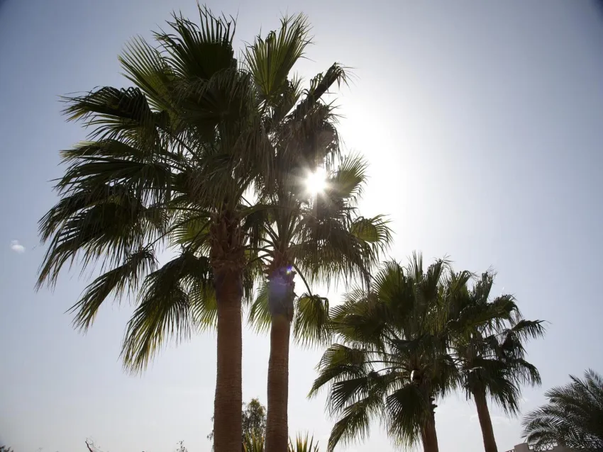 Coral Beach Resort Hotel 4*-2