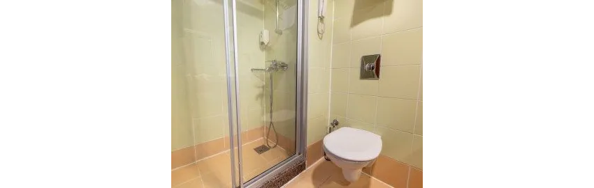 Viking Park Hotel 4*-11