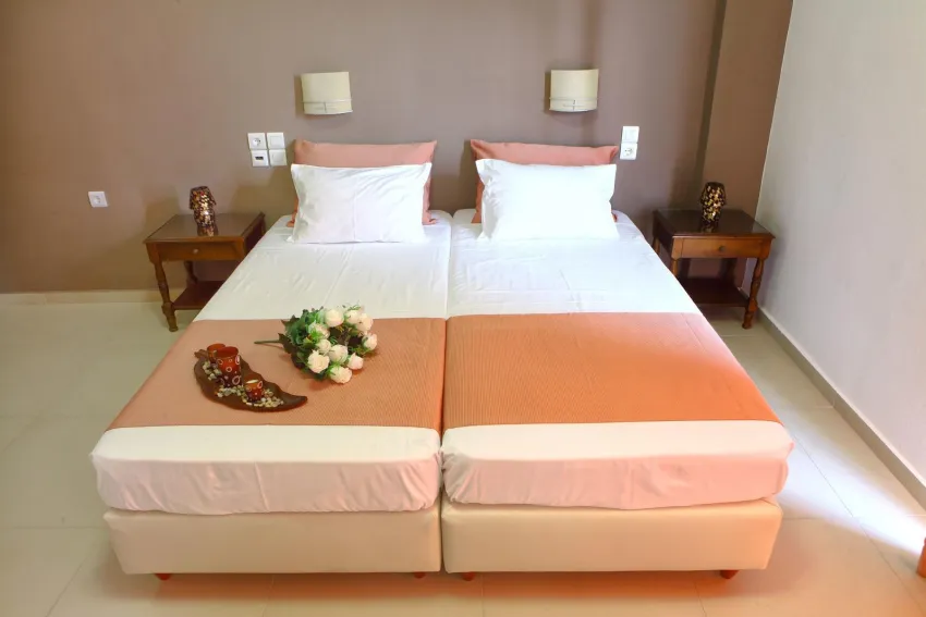 Stella Paradise 1*-2