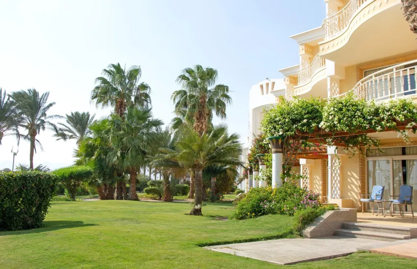 Palm Royale Soma Bay Resort 5*-140