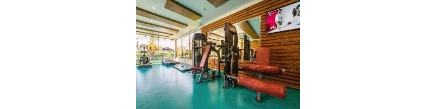 Primasol Hane Garden 5*-1