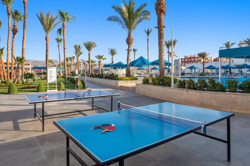 ALBATROS SHARM RESORT  4*-53