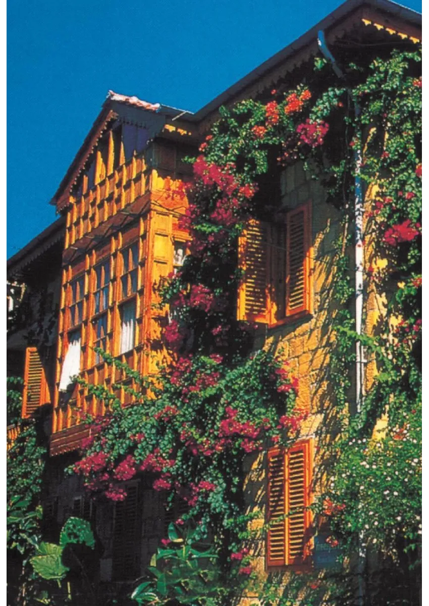 Begonville Pension 2*-2