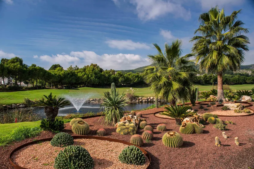 Steigenberger Hotel & Resort Camp de Mar 5*-163