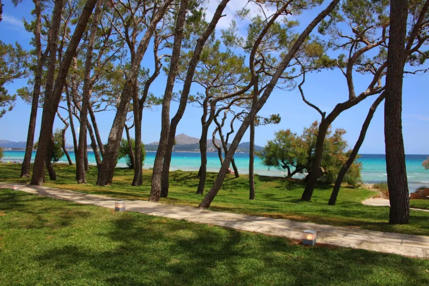 Iberostar Waves Playa de Muro 4*-6