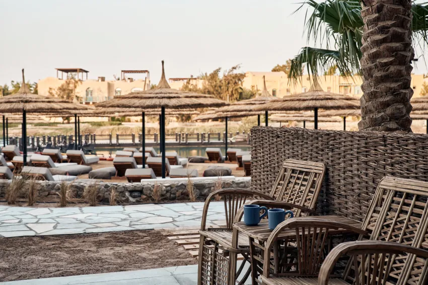COOK'S CLUB EL GOUNA (ADULTS ONLY 16+)  4*-21