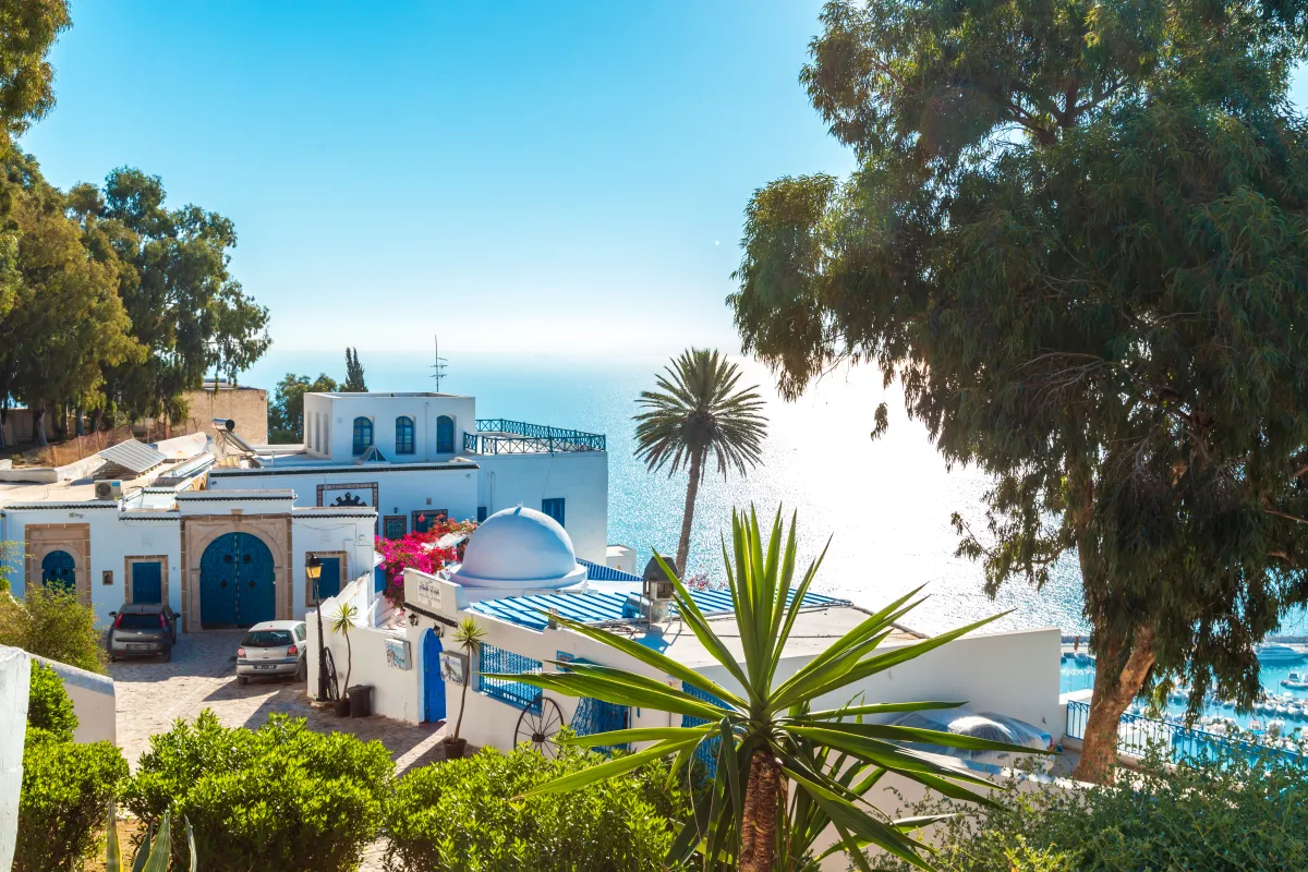 Descoperă Tunisia