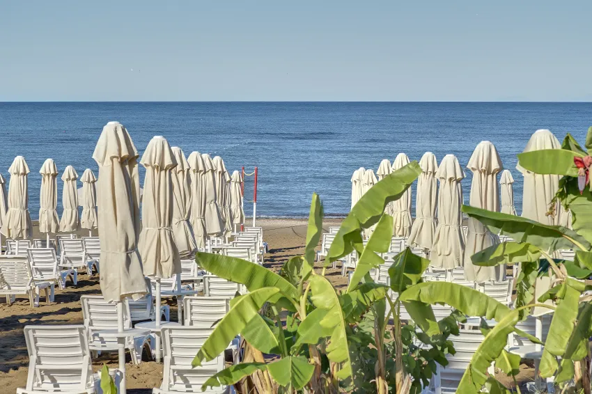 Seaden Corolla 4*-68