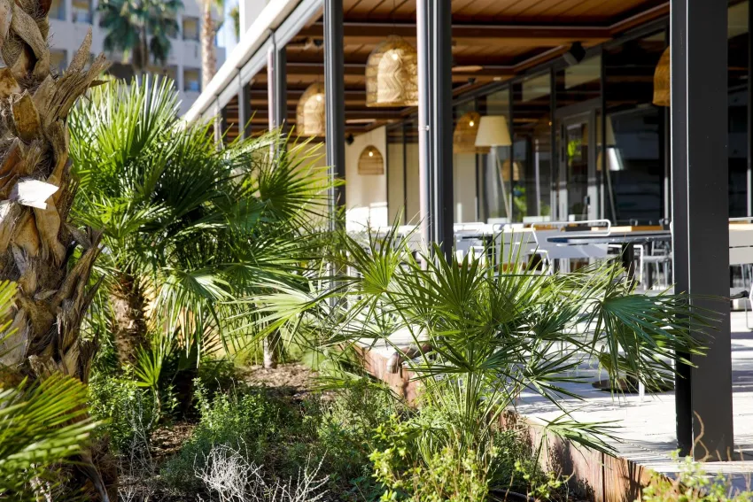 Aubamar Suites & Spa 5*-16