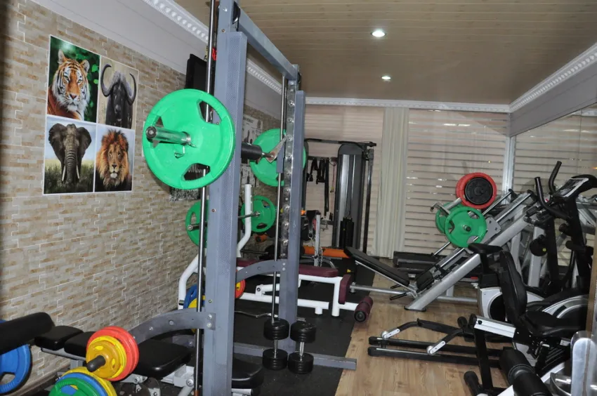 GRAND VIKING HOTEL  4*-11