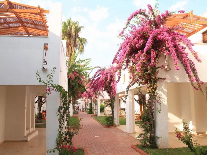 CLUB KASTALIA HV1  5*-7